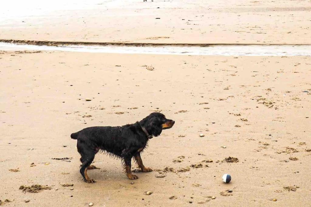 Large Cottage, Beach, Pubs Shops, Netflix, Bbq, Dog Friendly Hunmanby Buitenkant foto